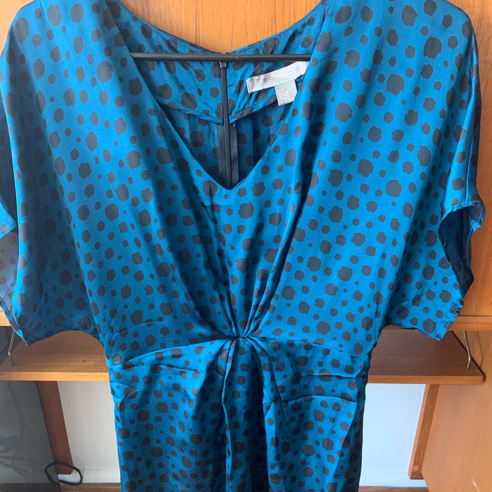 Polka Dot Dress